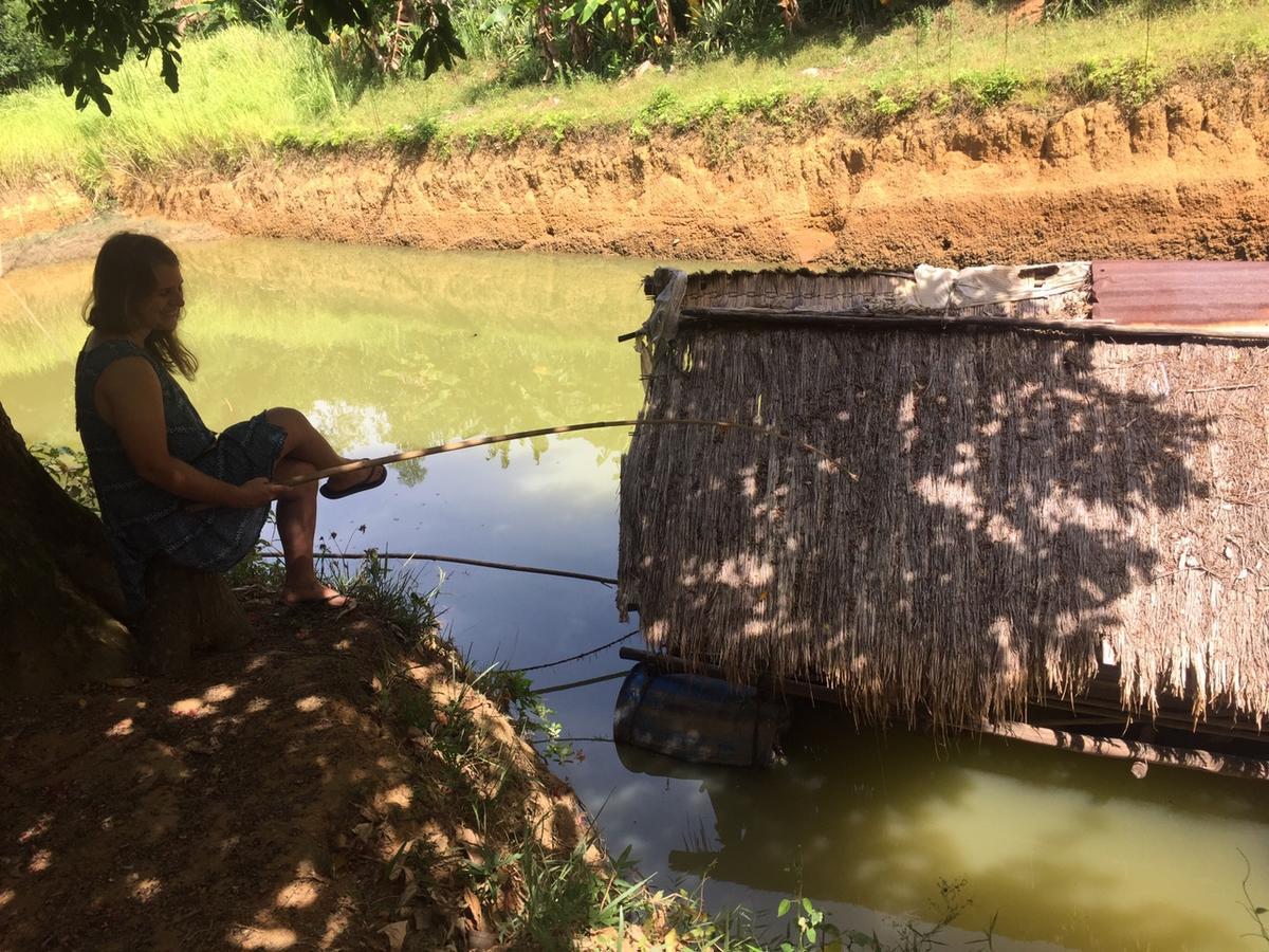 Phong Nha Rice Field Homestay Exterior photo