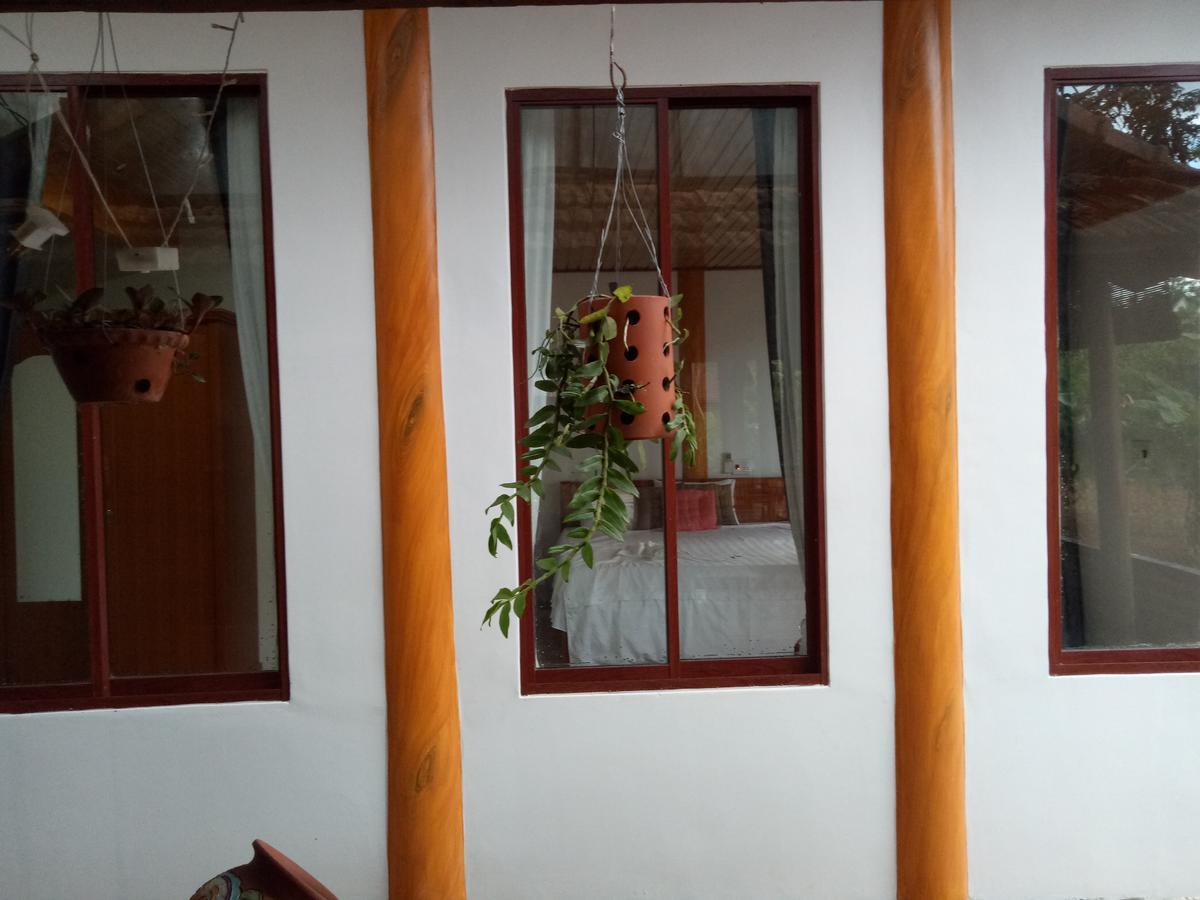 Phong Nha Rice Field Homestay Exterior photo