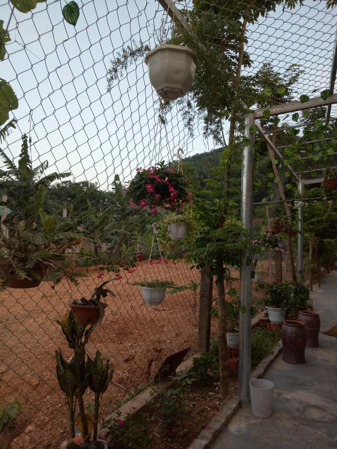 Phong Nha Rice Field Homestay Exterior photo